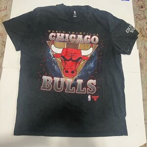 Men’s Chicago Bulls Logo Gray NBA Graphic Tee “World Champions” Size: XL